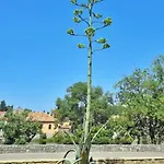 Agave Apartment Trebinje