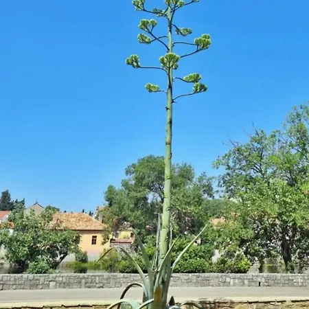 Agave Apartmán Trebinje