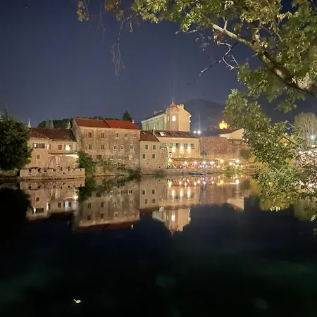 Agave Trebinje
